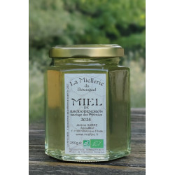 Miel de Rhododendron sauvage des Pyrénées 2025 Bio 250g