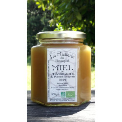 Miel de Châtaignier Bio Ariège Pyrénées France 2025 pot 500g