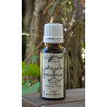 Extrait liquide de Propolis Bio 20 ml